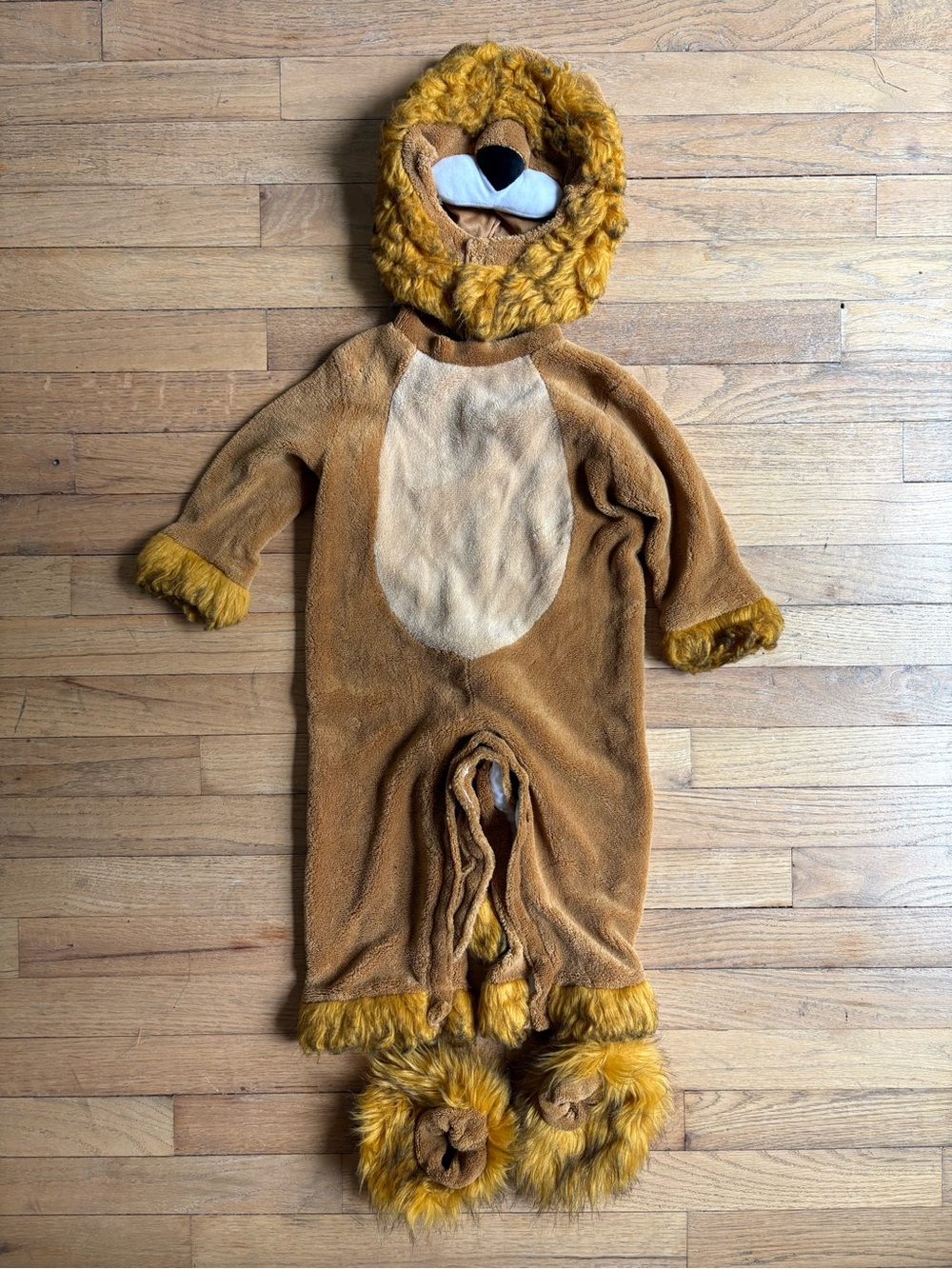 Toddler Lion Halloween Costume